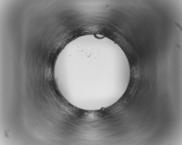 X0000102290564200808151956