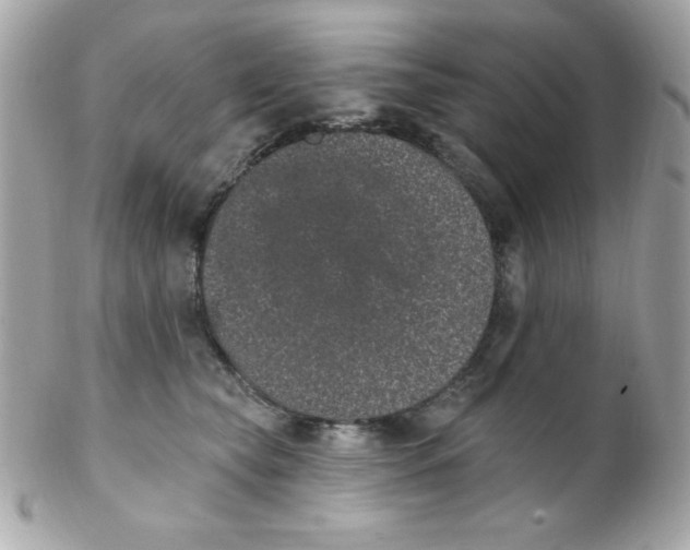 X0000102290565200808151956