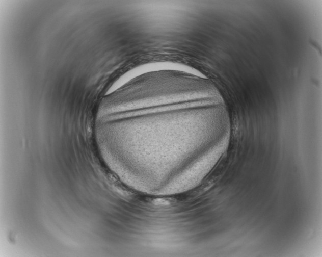 X0000102290566200808151956