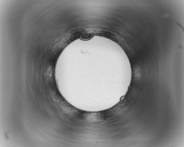 X0000102290567200808151956