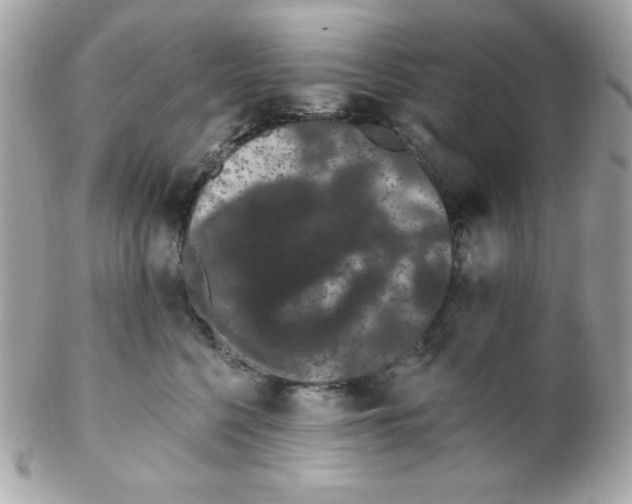 X0000102290568200808151956