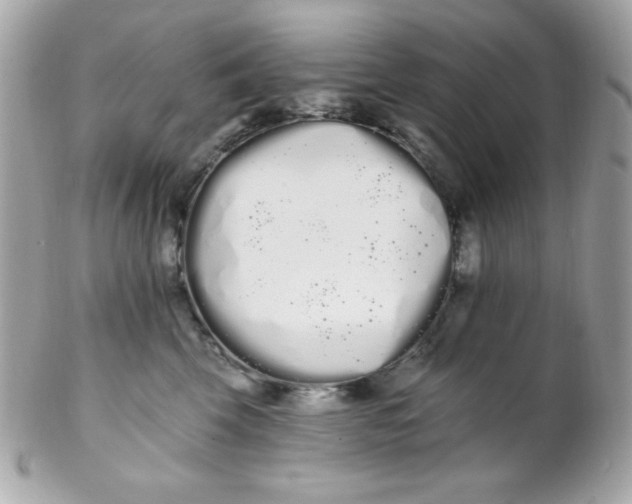 X0000102290569200808151956