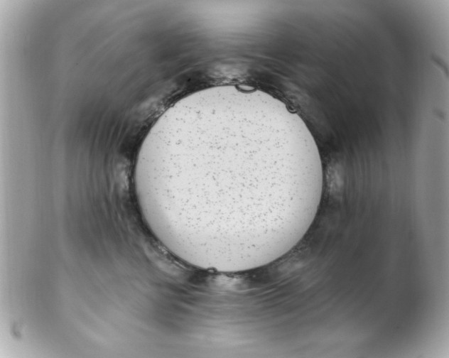 X0000102290570200808151956