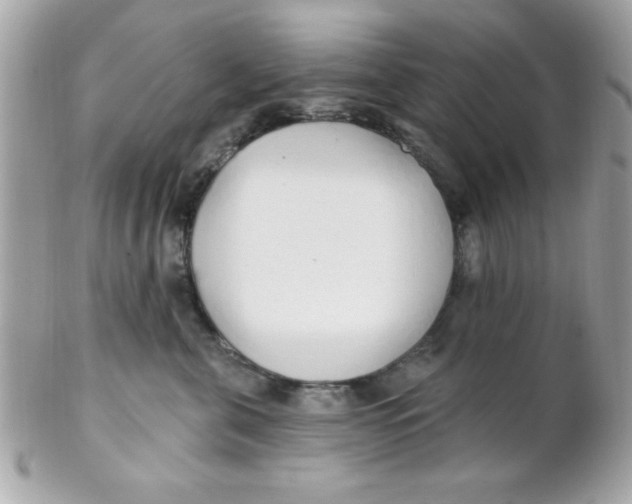 X0000102290571200808151956