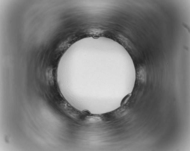 X0000102290572200808151956