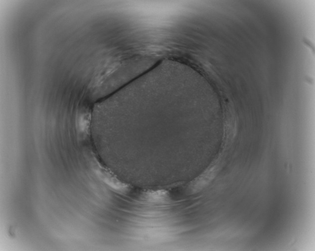 X0000102290576200808151956