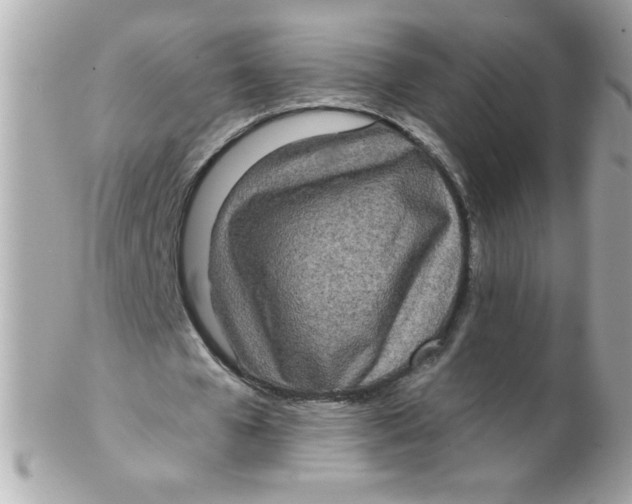 X0000102290577200808151955