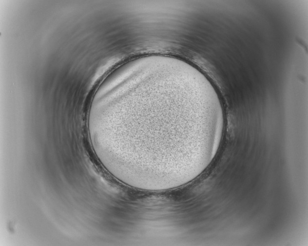 X0000102290578200808151955