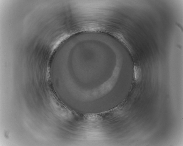 X0000102290579200808151955