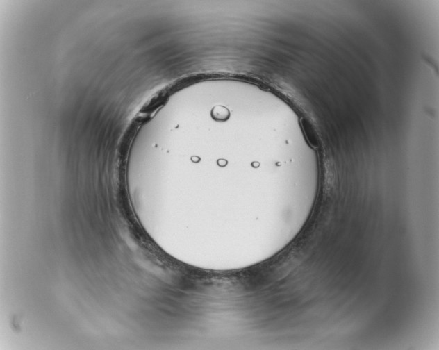 X0000102290580200808151955