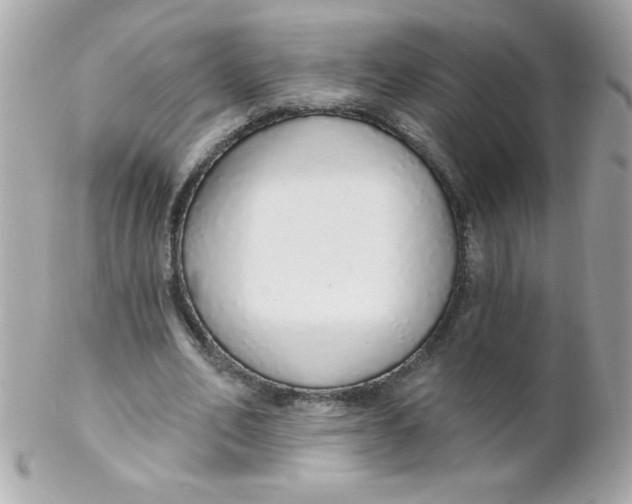 X0000102290582200808151955