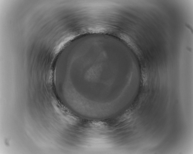 X0000102290583200808151955