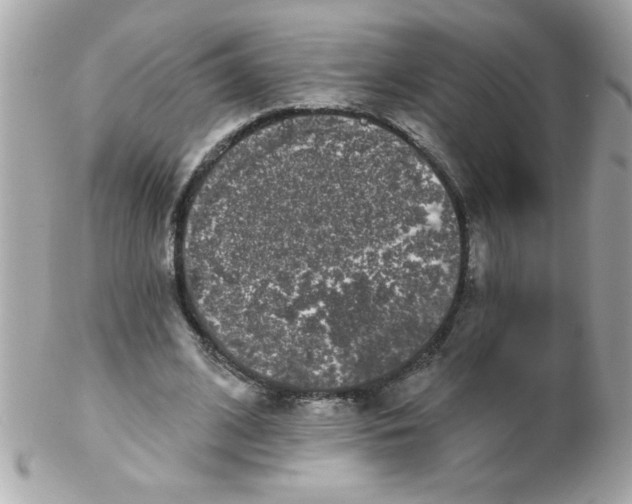 X0000102290584200808151955