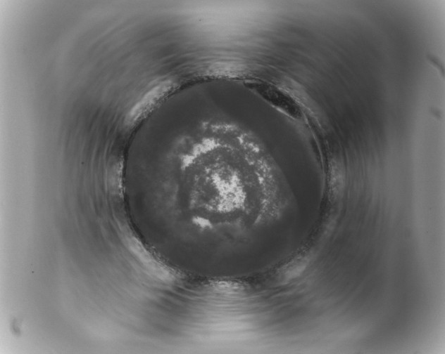 X0000102290585200808151955