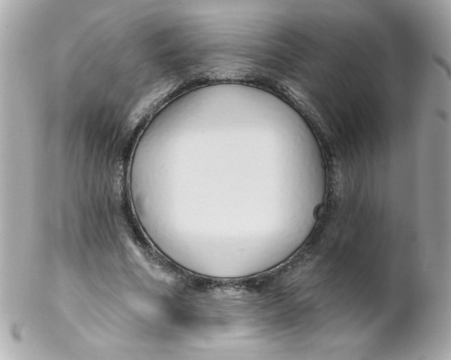 X0000102290586200808151955