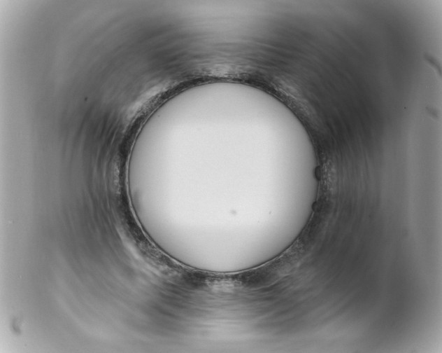 X0000102290587200808151955