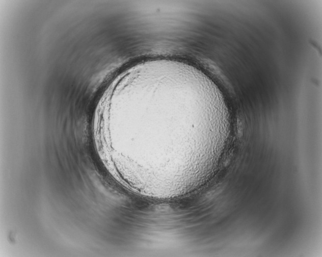 X0000102290588200808151955