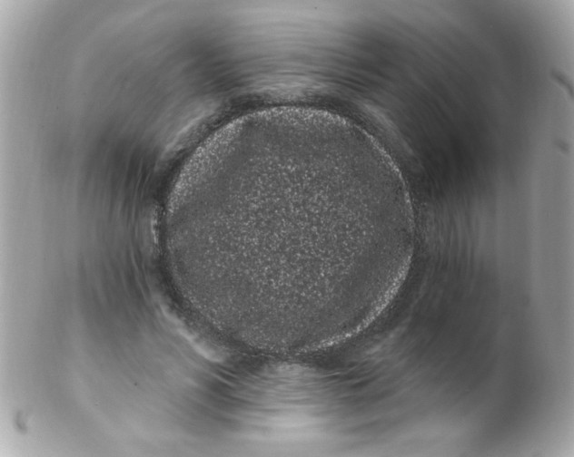 X0000102290590200808151955