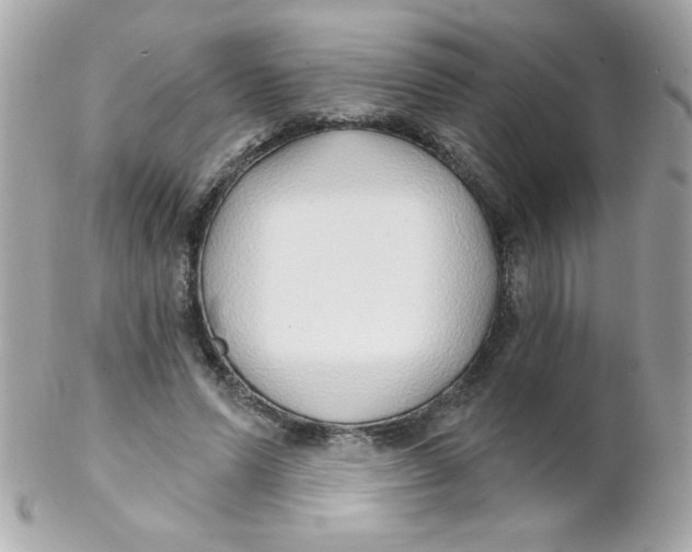 X0000102290591200808151955