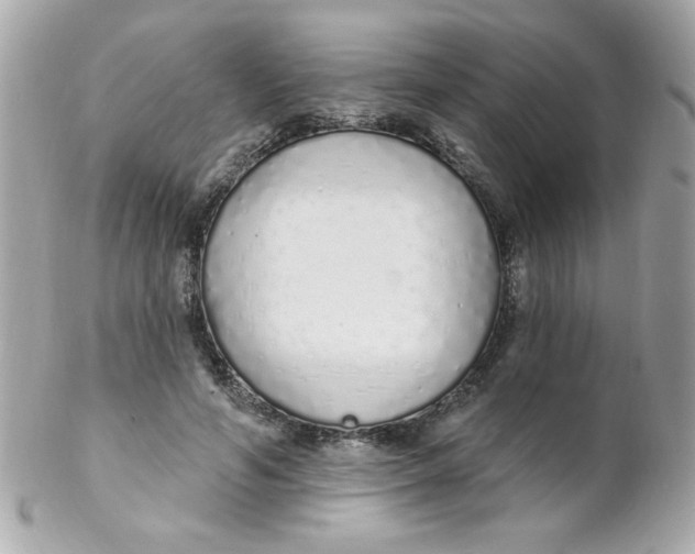 X0000102290594200808151955