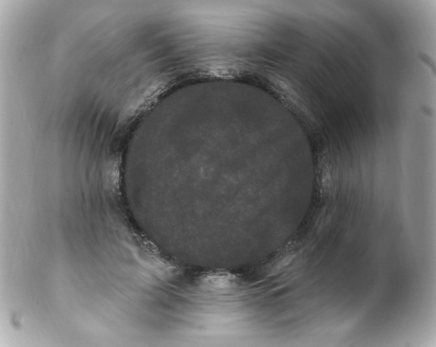 X0000102290595200808151955