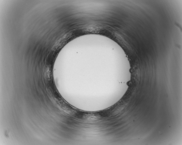 X0000102290597200808151955