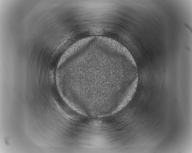 X0000102290598200808151955