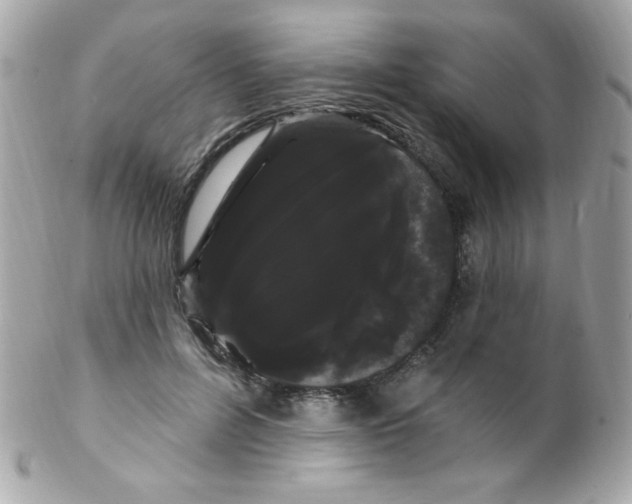 X0000102290600200808151955