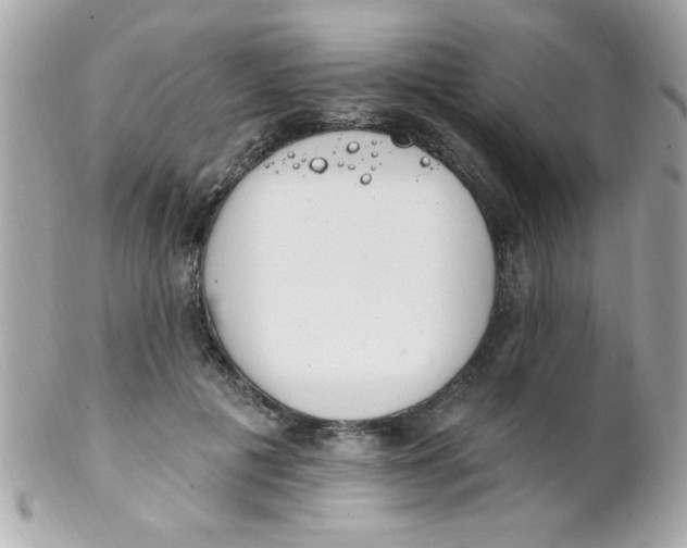 X0000102290601200808151955