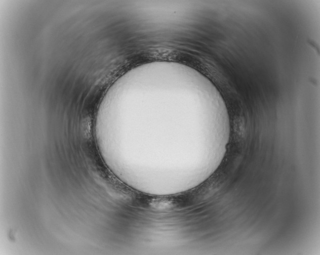 X0000102290602200808151955