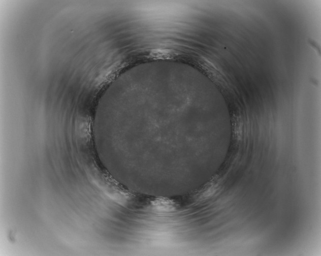 X0000102290603200808151955