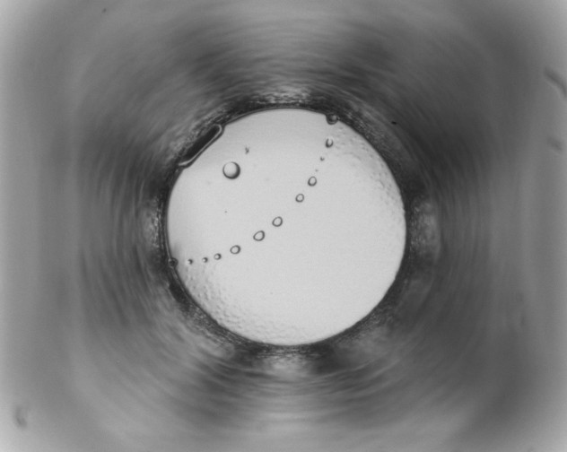 X0000102290604200808151955