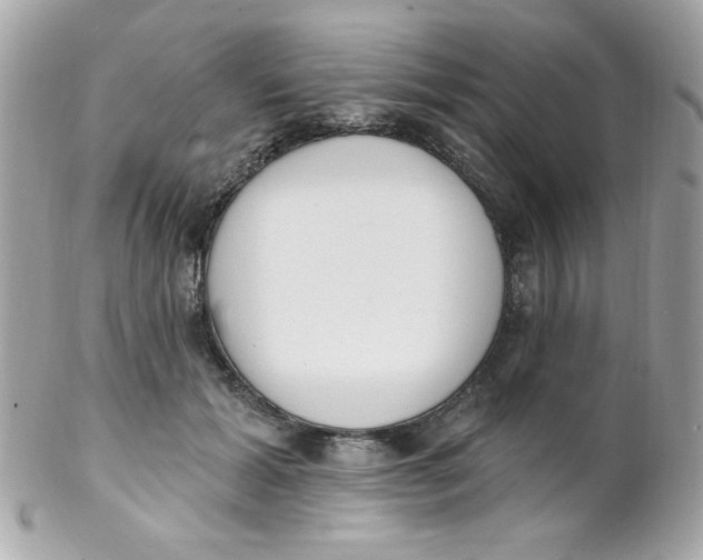 X0000102290605200808151955