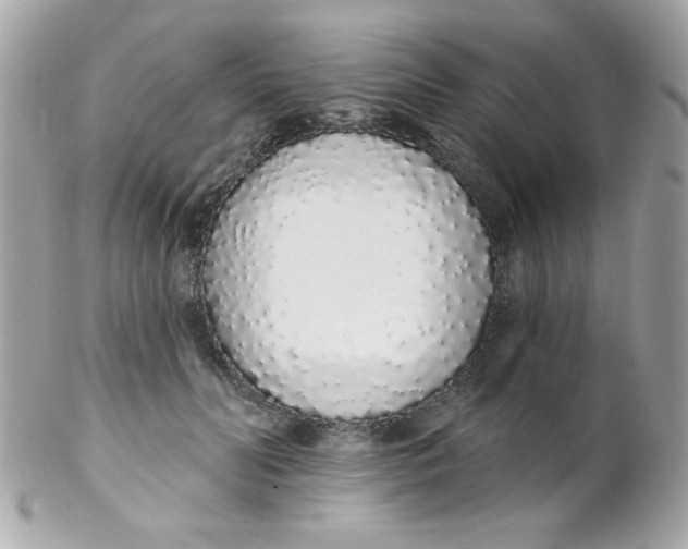 X0000102290606200808151955