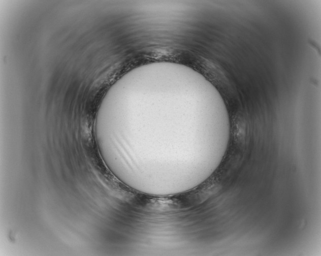 X0000102290607200808151955