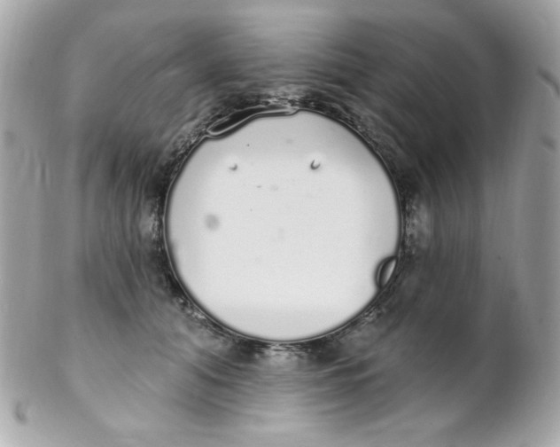 X0000102290608200808151955