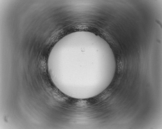 X0000102290609200808151955