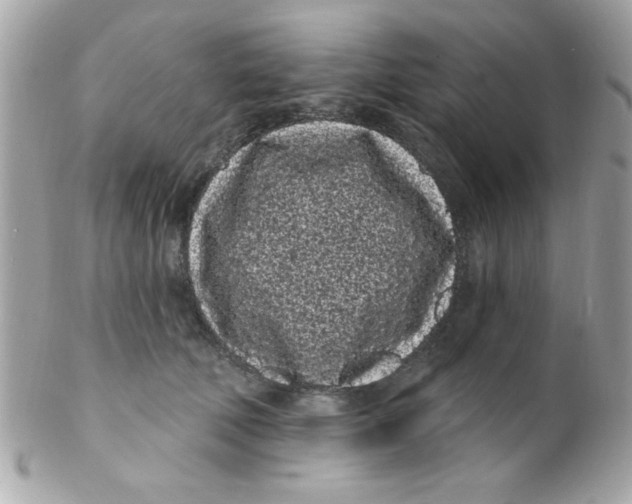 X0000102290610200808151955