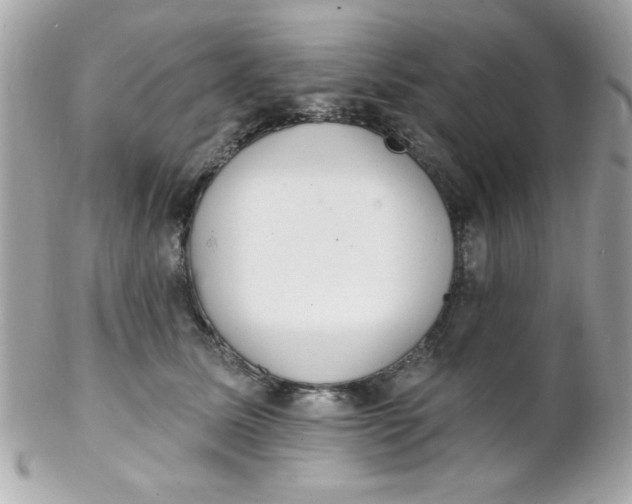 X0000102290611200808151955