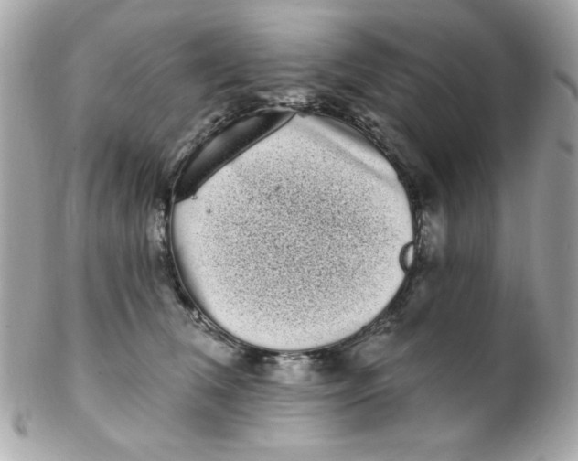 X0000102290612200808151955