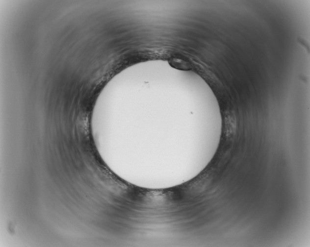 X0000102290613200808151955