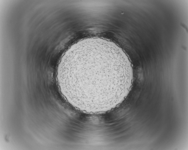 X0000102290615200808151955