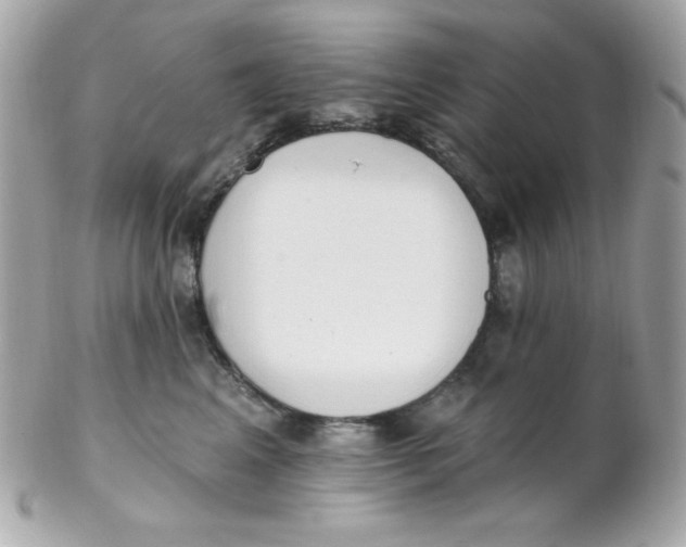 X0000102290617200808151955