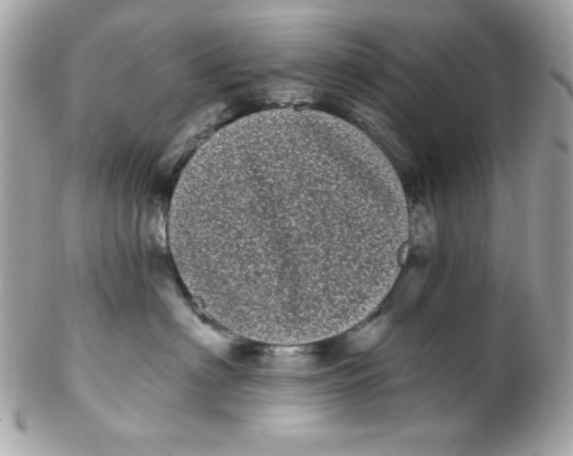 X0000102290622200808151955