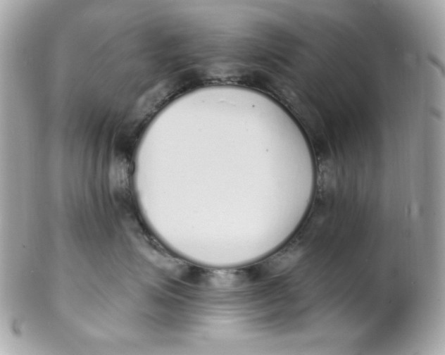 X0000102290623200808151955