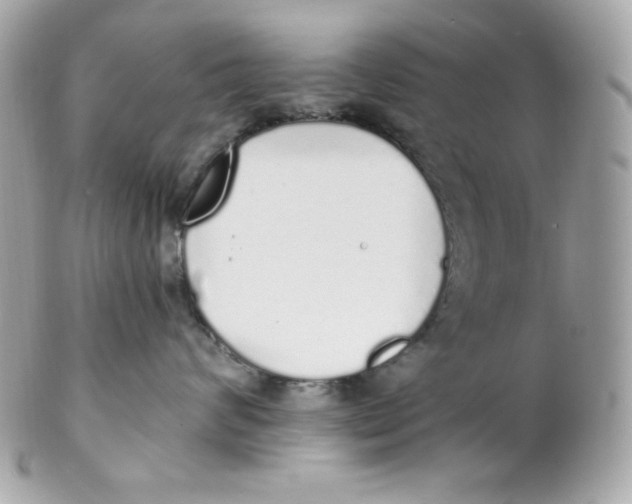 X0000102290624200808151955