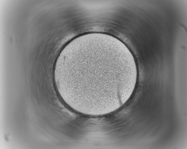 X0000102290625200808151954