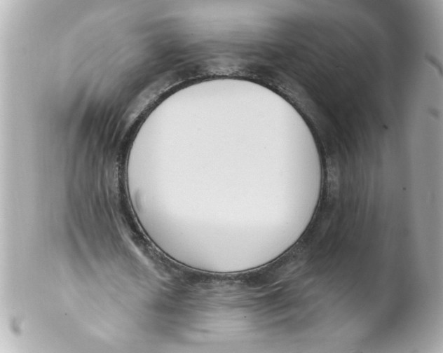 X0000102290626200808151954