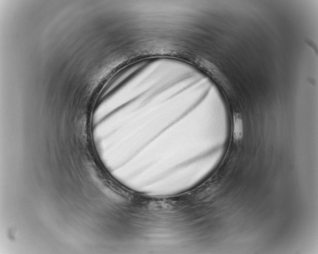 X0000102290627200808151954