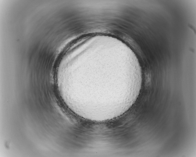 X0000102290628200808151954